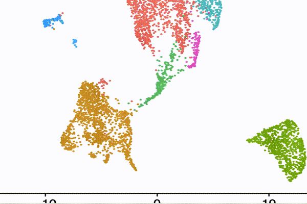 Zooming in to a vector UMAP